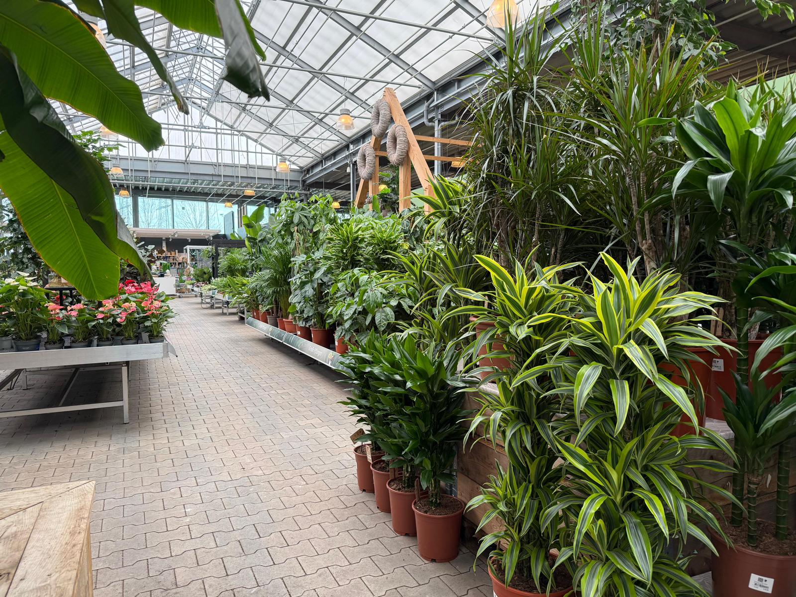 Bild für Kategorie Innen- und Außenkonzepte